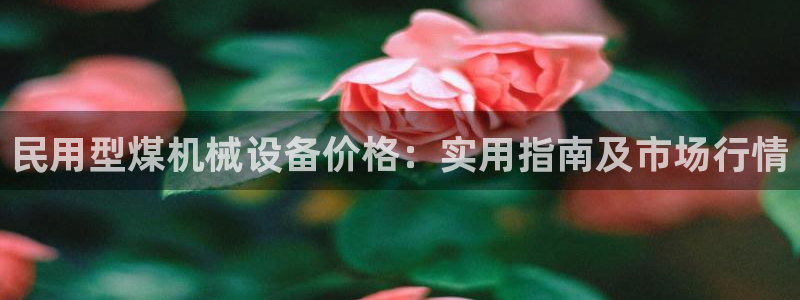 j9九游会官方网站国际