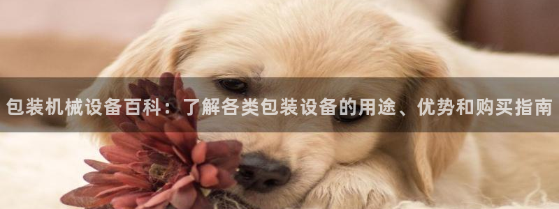 j9九游会老哥俱乐部客服