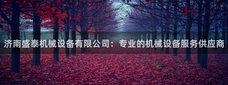九游会j9官网网站