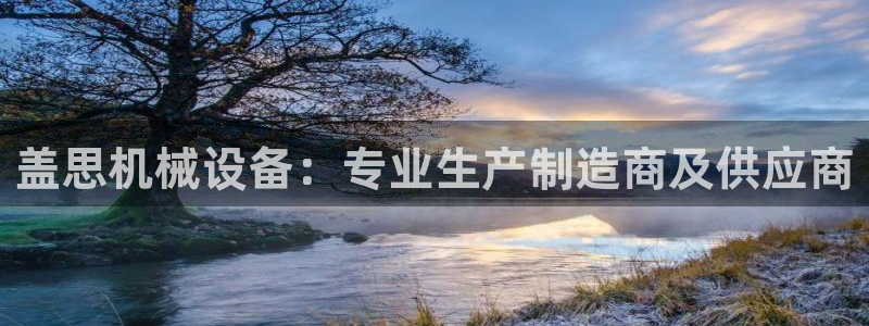 j9九游会官方网站国际怎么样
