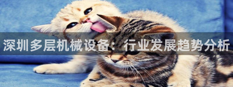 九游会是什么