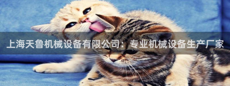 j9九游会下载