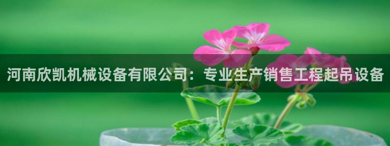 j9p下载