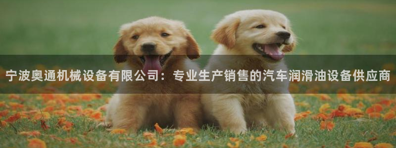 J9九游会J9