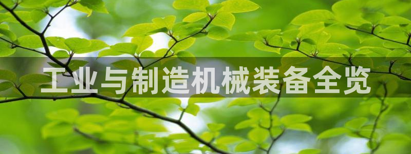 j9九游会合法吗