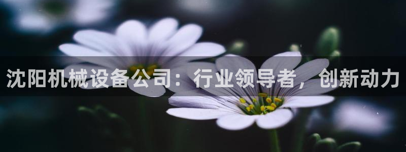 九游会直营