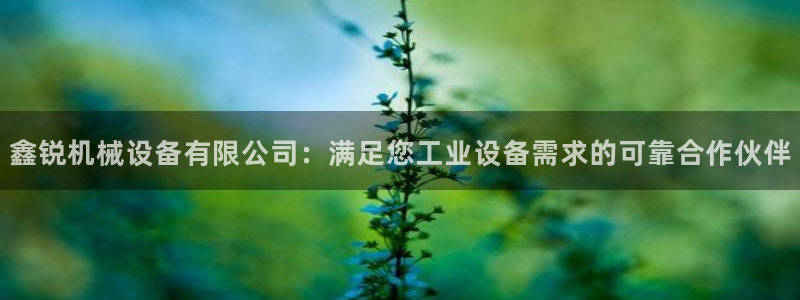 j9九游会官方网站国际