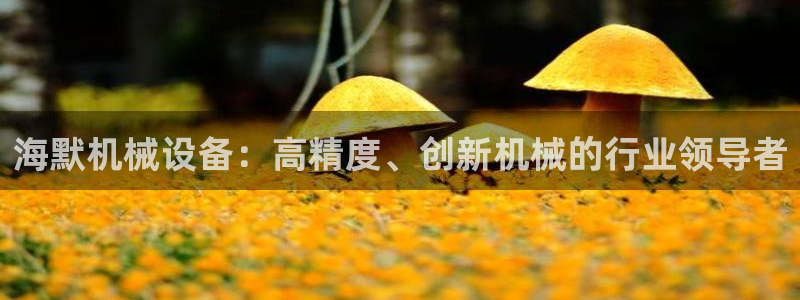 j9九游会