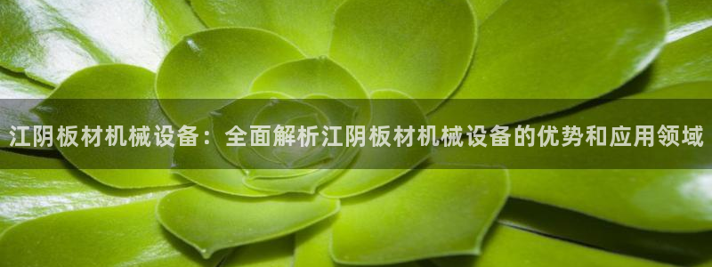 九游会官网地址