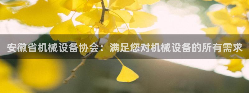 九游会的网址是多少