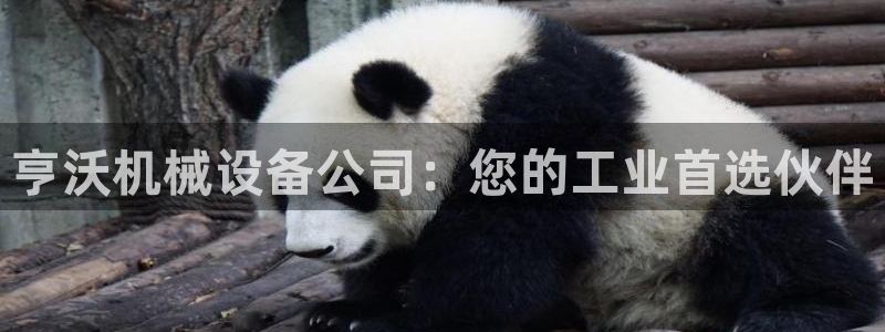 九游会中国入口