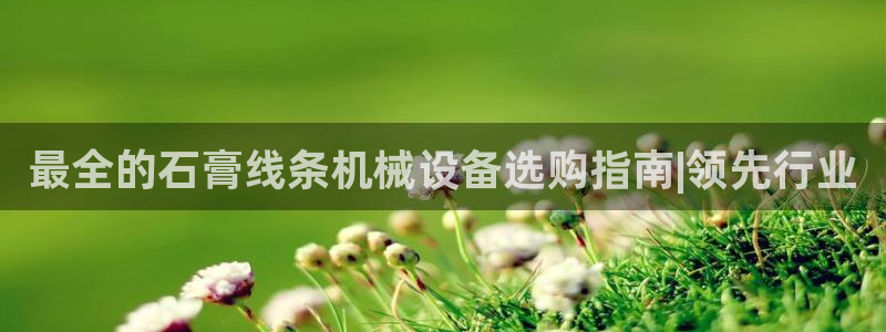 九游会国际站