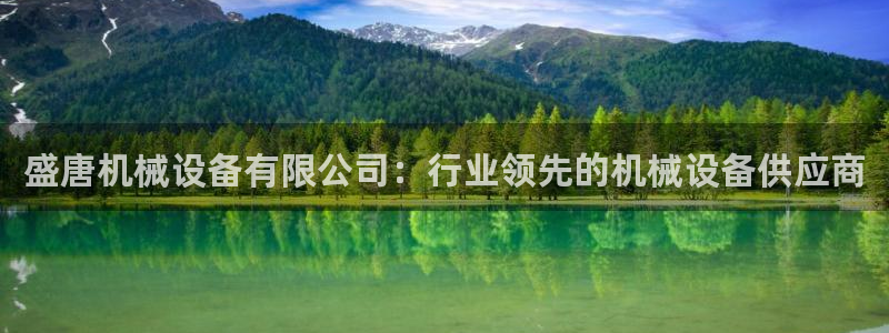 九游会是什么组织