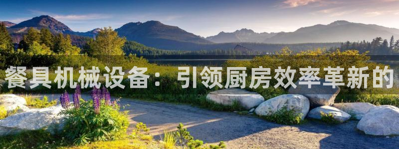 九游会网站打不开了