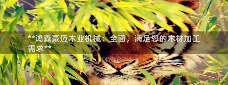 j9九游会不出款