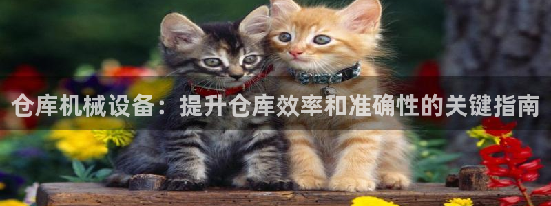 九游会视讯