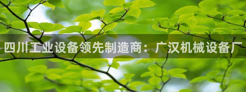 九游会登不上
