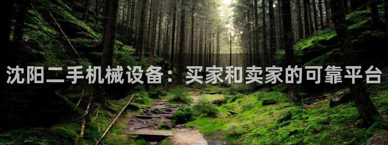 ag九游会