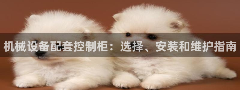 九游会官网入口ag亚洲