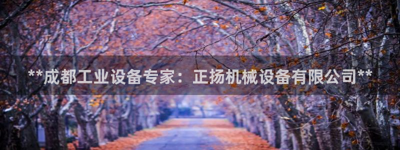 九游会进不去了