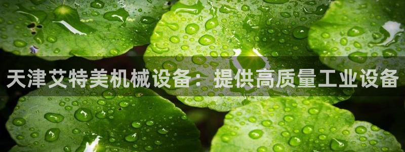 j9九游会真人手机版