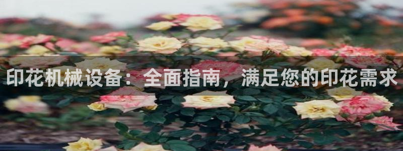 九游j9登陆