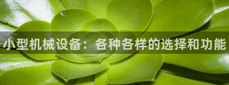 九游会官网开会