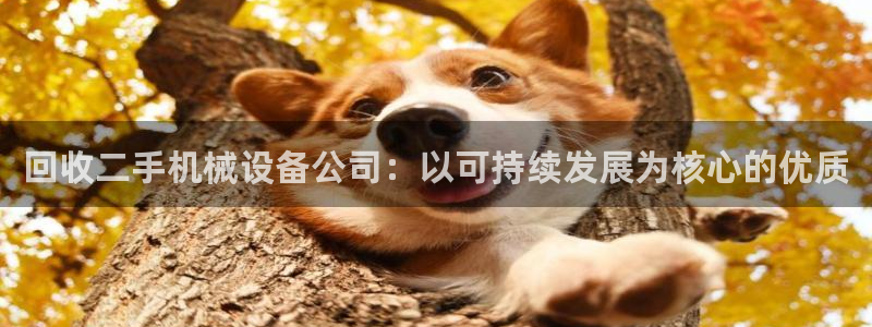 九游会手机登入