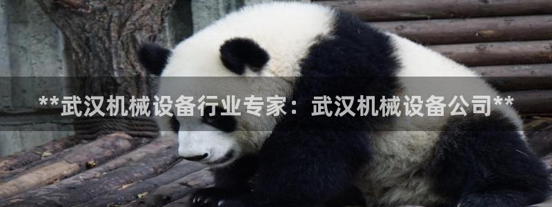 九游会网址九