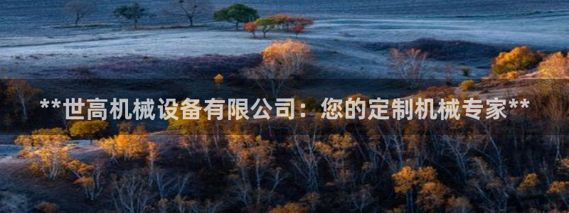 J9九游会老哥