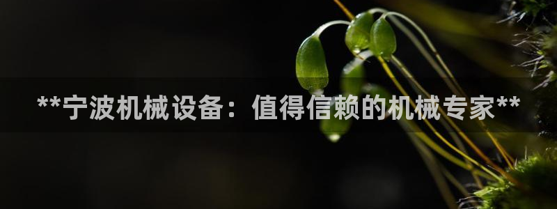 ag九游会官网网址