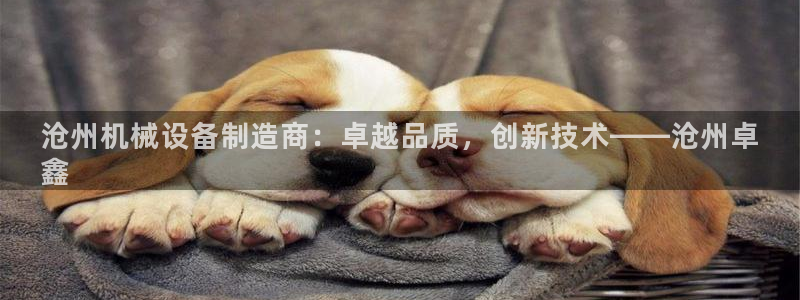 九游会ag官方网站在哪