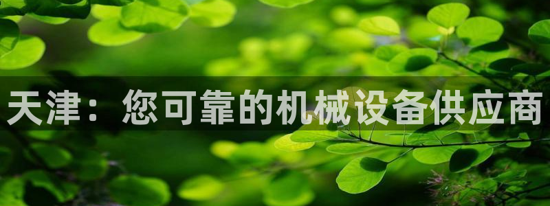 j9九游会官方网站国际怎么样