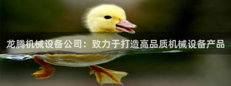 九游会网址入口