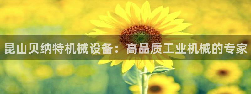 ag8亚洲九游会