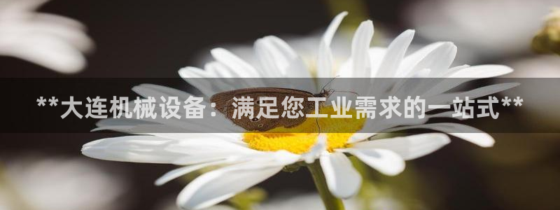 j9九游会vip