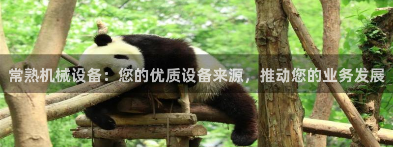 九游会网站网