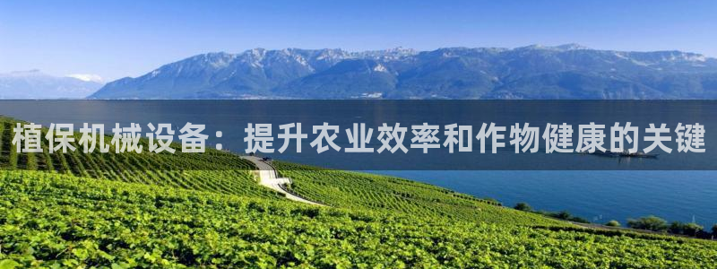 九游会官网进入