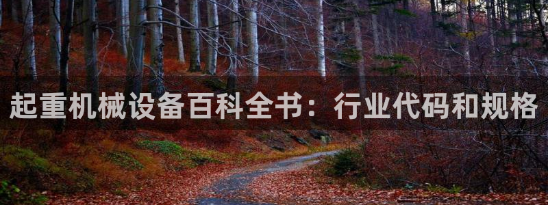 九游会是真的吗