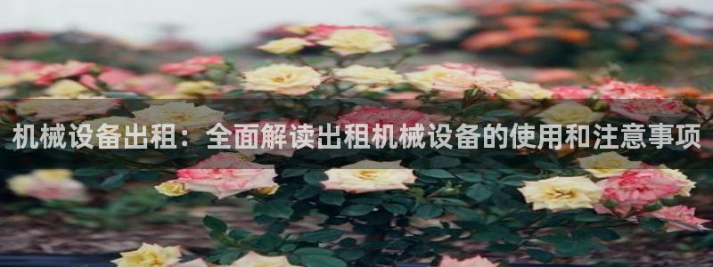 九游官网j9活动介绍