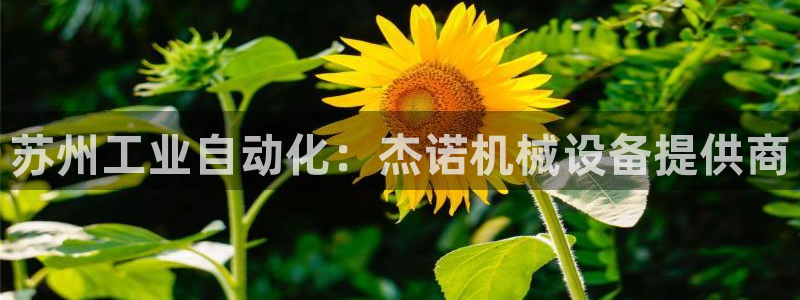 九游会agj9