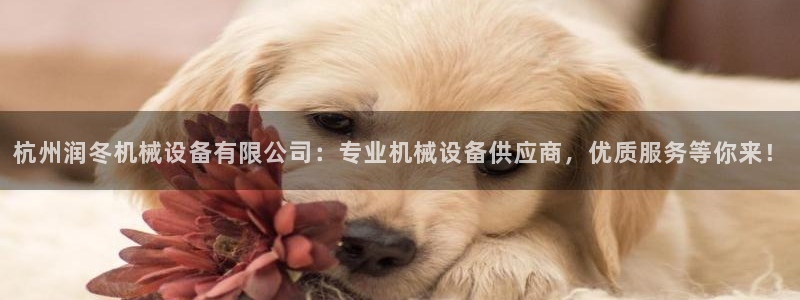 九游会老哥俱乐部官网首页论坛