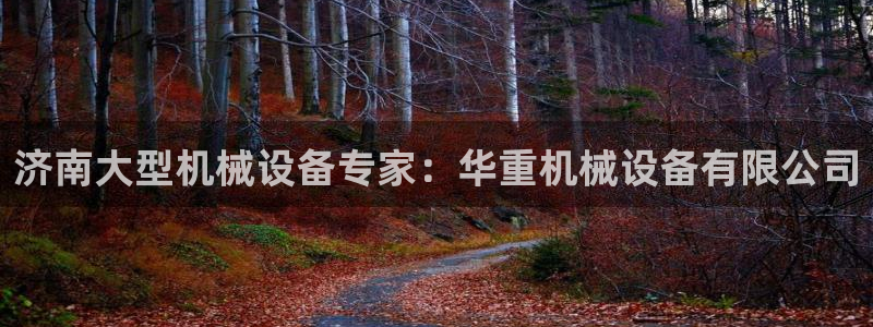 九游会游戏客服