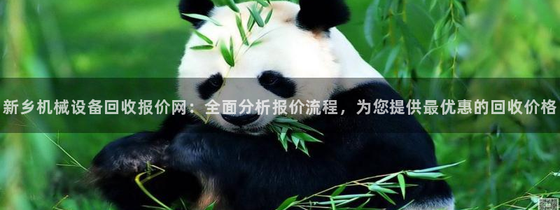 九游会亚洲唯一合作伙伴