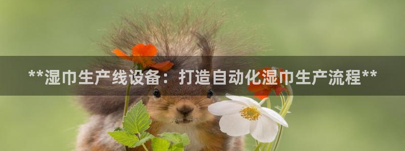 j9官网平台