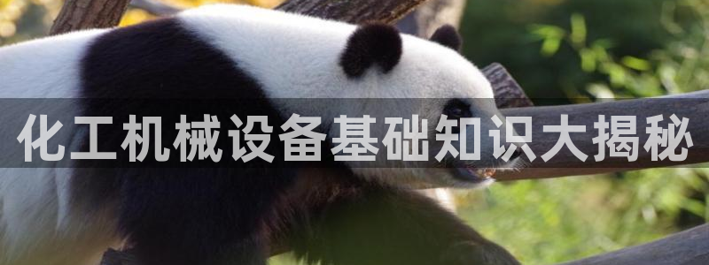 九游会agapp