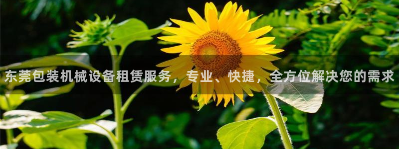 九游会平台稳定吗