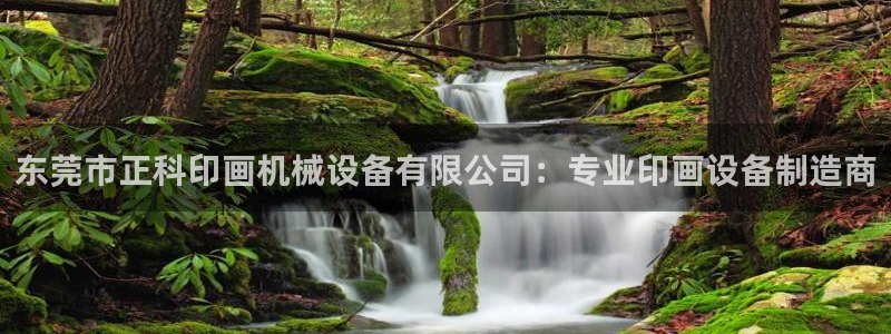 九游会最新网站