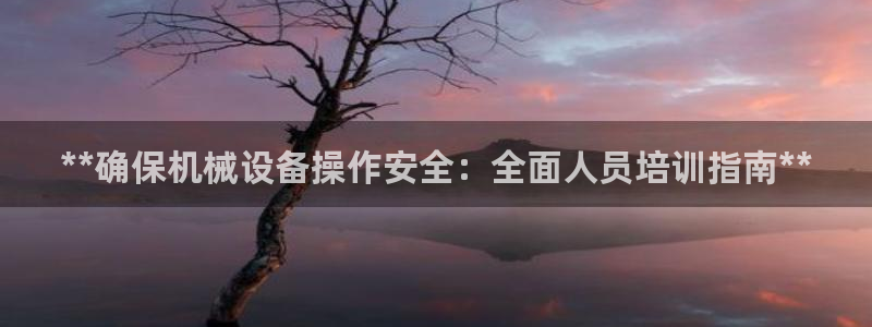 ag改九游会
