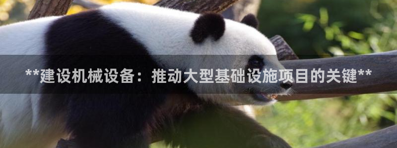 九游会官方app